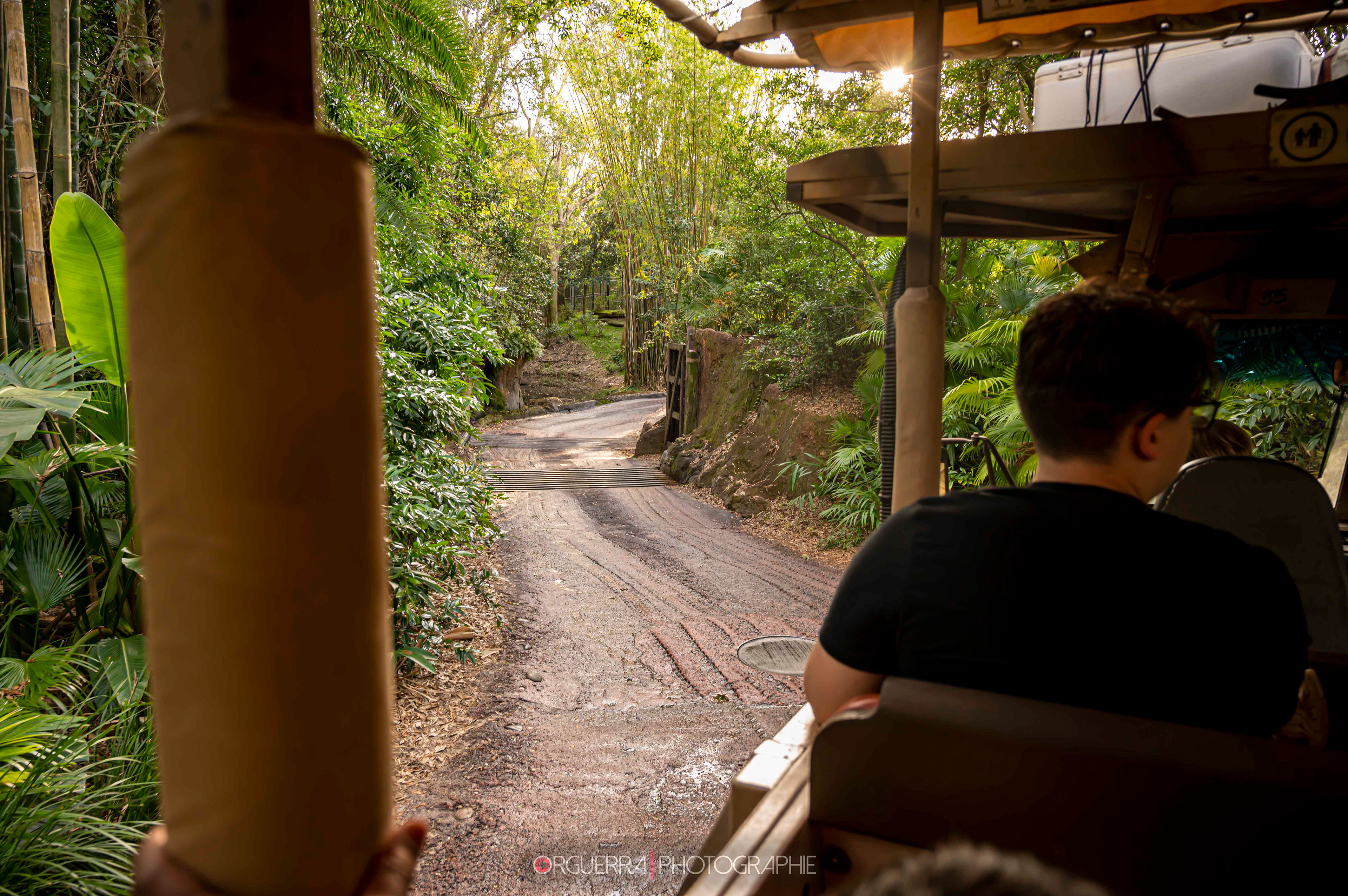 Magic Kingdom | Walt Disney World